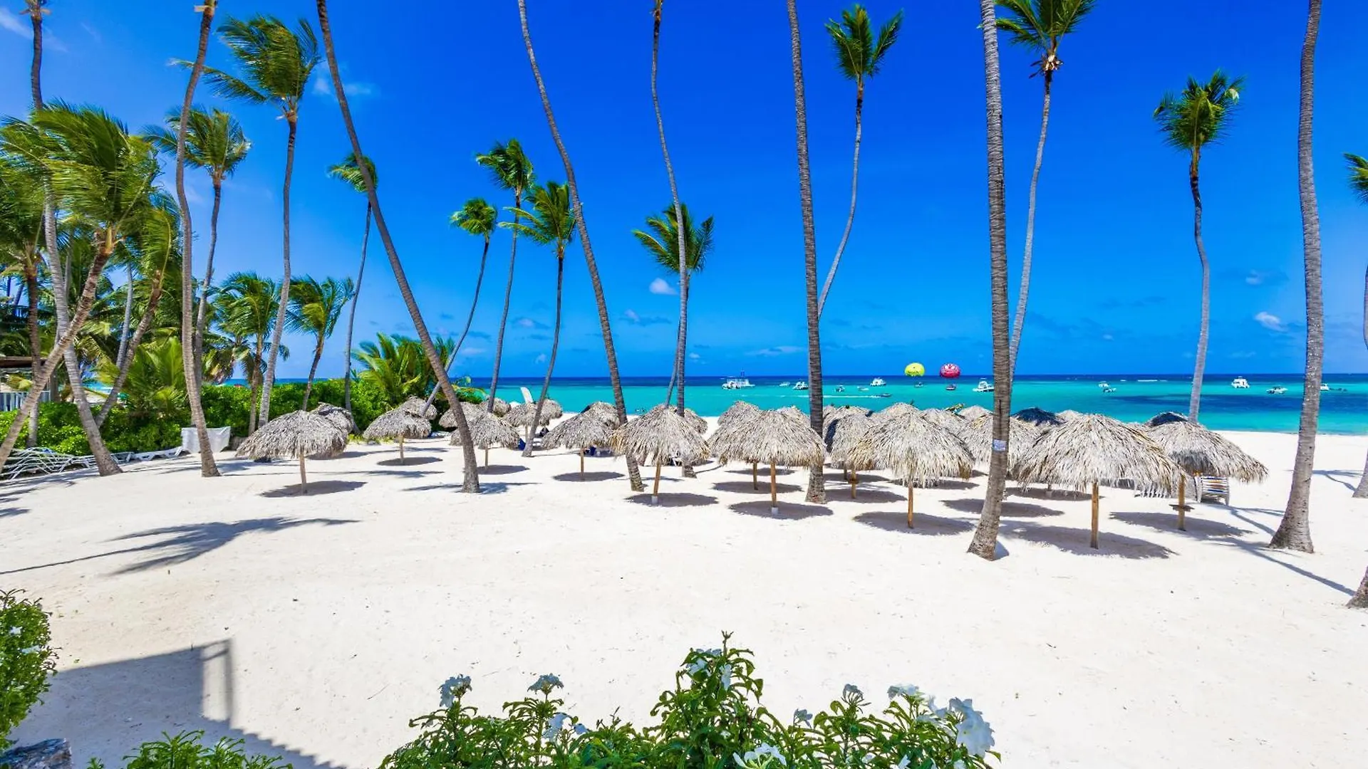 Prime Ocean View Punta Cana Apartments - 3-Bedroom Getaway With Private Terrace On Bavaro Beach