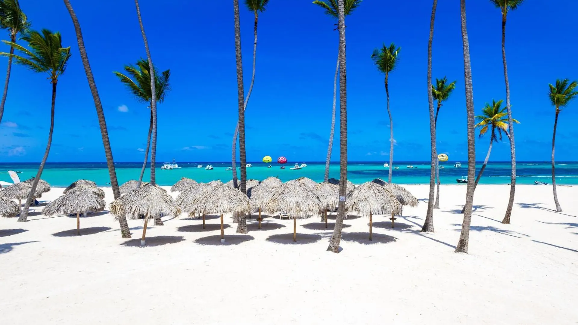 Prime Ocean View Punta Cana Apartments - 3-Bedroom Getaway With Private Terrace On Bavaro Beach
