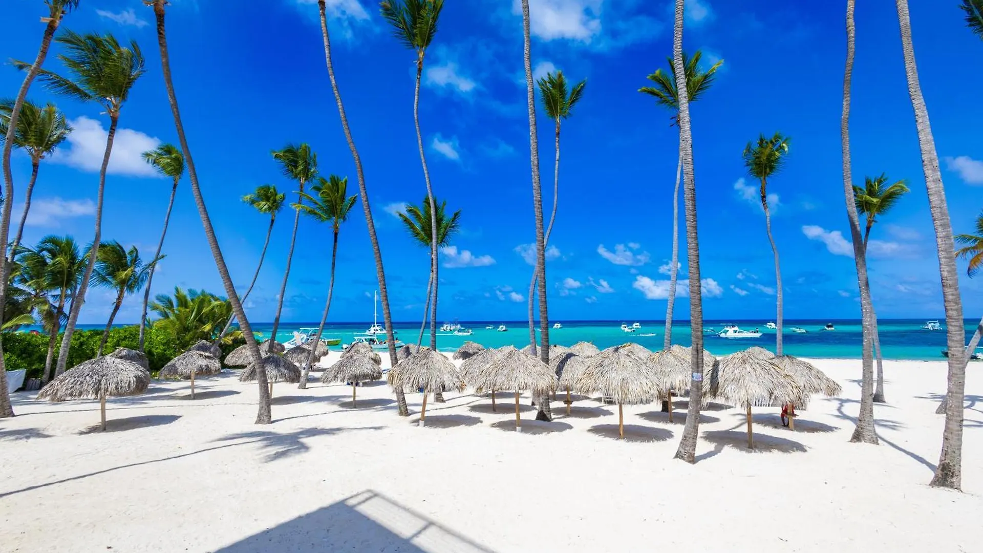 Prime Ocean View Punta Cana Apartments - 3-Bedroom Getaway With Private Terrace On Bavaro Beach