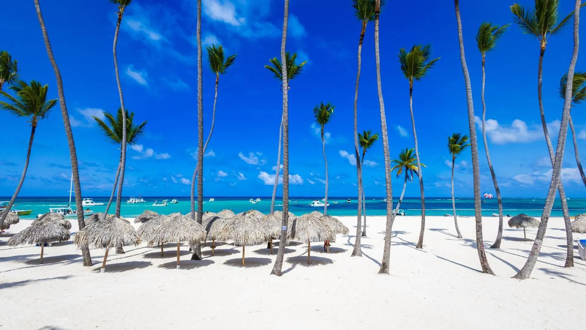 Prime Ocean View Punta Cana Apartments - 3-Bedroom Getaway With Private Terrace On Bavaro Beach